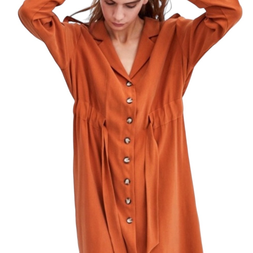 ZARA long jacket/dress - Picture 2 of 13
